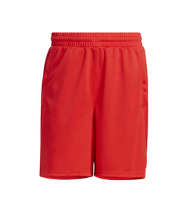 Shorts de performance légers en mesh pour homme, avec taille élastique et logo frontal - Shorts de sport respirants pour l'été - Product Image 1