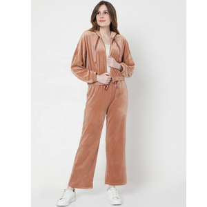 <b>Women</b> Velvet <b>Tracksuit</b> Set Hooded Zipper Full Sleeve Solid Color Casual Loose Fit Pants Two Piece Autumn Wear - Product Image 1