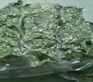 Meilleures ventes : Feuilles séchées de Bai Ya Nang, emballées sous vide, pour la préparation de boissons et de desserts, vente en gros - Product Image 3