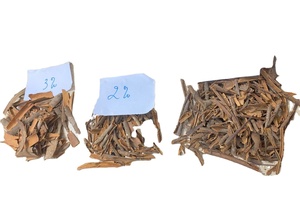 Offre Spéciale : Cannelle de Cassia du Vietnam Premium, Épice Séchée Mélangée de Haute Qualité pour la Transformation Alimentaire et l'Exportation en Gros - Product Image 3