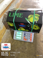Premium Vietnamese Lime zonder pit – Heldergroene schil, rijke smaak, hoog sapgehalte