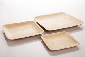 New Biodegradable Areca Leaf Plates for Dry Snacks & Dessert Serving 8 Inch Square Pack of 25 Plates for Birthday Cake & Snacks - Product Image 1