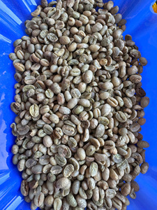 กาแฟอาราบิก้าเวียดนามแท้พันธุ์เดียว |   คั่วอ่อนและคั่วกลาง |   เมล็ดกาแฟพิเศษขายส่ง - Product Image 6