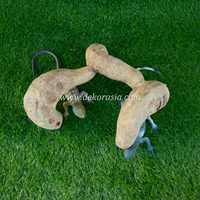 Décoration de terrarium en bambou sculpté à la main (30 cm) style animal, pour reptiles, jungle gym, vivariums et enclos, décoration intérieure