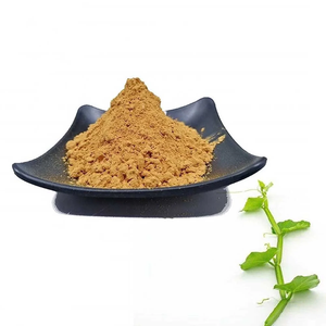 Extracto de Hoja de Cissus Quadrangularis en Polvo de Alta Calidad 10:1, Extracto de Hadjod Puro y Natural - Product Image 3