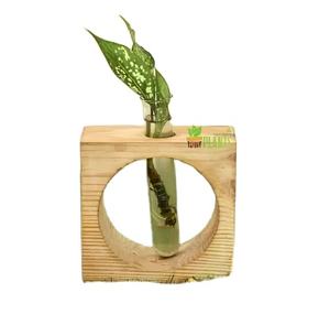 Vase en bois avec tube en verre Look moderne de haute qualité Finition naturelle Vase en verre en bois Décor élégant et chic Tube en verre - Product Image 1