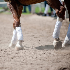 Bandages de protection pour jambes de cheval en polaire de haute qualité, pour l'équitation, fabrication directe - Product Image 2