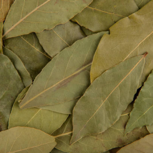 Feuilles de Cassia Entières Supérieures 50lb Vrac Exportation Commerciale Feuilles de Séné Naturelles Dorées Sac de 25kg Vente en Gros - Product Image 4