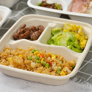 Barquettes alimentaires carrées à 3 compartiments, couvercle transparent, écologiques, biodégradables, jetables, design Zen asiatique, vente chaude - Product Image 1