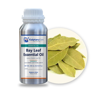 น้ำมันหอมระเหยใบกระวาน (Laurus Nobilis) ผู้จัดจำหน่ายรายใหญ่จากอินเดีย - Product Image 1