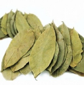 Premium Herbal Drink from Graviola Leaves with Rich Natural Flavor and Aroma Quality - Product Image 6