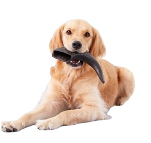Cuerno de búfalo natural hecho a mano masticar para perros Cuerno de búfalo de agua de alta proteína Trata masticar saludable para la salud canina - Product Image 1