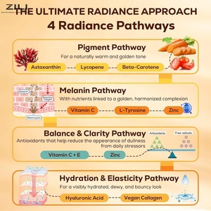 Gotas Bronceadoras OEM, Fórmula de Bronceado sin Sol, DHA, Vitamina E, Suplemento para un Brillo Natural en la Piel, Gotas Líquidas para un Bronceado Natural - Product Image 2