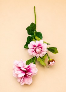 Présentoir floral haut de gamme au design élégant - Product Image 3