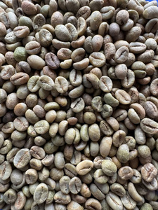 Granos de Café Robusta Verdes Premium, Procesados con Miel, Alto Contenido de Cafeína, Grado S18 AA, para Tostadores Comerciales y Especializados - Product Image 4