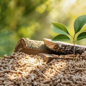 Suministro de Combustible de Biomasa Premium con Pellets de Madera de Caucho de Alta Densidad y Energía Limpia de XINTHAI - Product Image 1