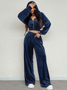 Ensemble deux pièces pour femmes, nouveau sweat à capuche en velours, sweat à capuche zippé, ensemble de survêtement personnalisé, couleur unie, tenue de luxe en velours pour l'automne - Product Image 4