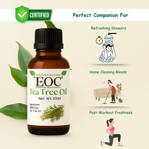 Aceite Esencial de Árbol de Té 100% Puro, Grado Antibacterial para el Cuidado de la Piel, Aceite de Melaleuca Alternifolia, Proveedor a Granel, Calidad de Exportación - Product Image 3