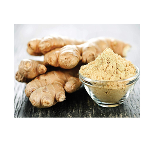 Dried <b>Ginger</b> Powder Bulk Natural Fine Ground Spice Ingredient for Culinary Applications Food Manufacturing and Wholesale Trade - Product Image 3