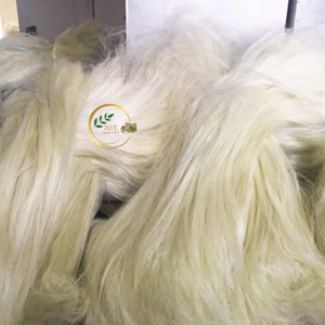 Natural Raw Jute Fiber – Eco Friendly Biodegradable Fiber for <b>Textile</b>, Rope, Carpet, <b>Packaging</b> and Handicraft Industry Wholesale - Product Image 2