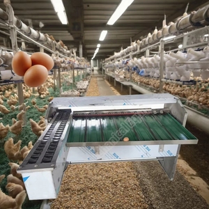 <b>Egg</b> Sorter Machine by Weighing Control Industrial <b>Egg</b> Machine Industrial <b>Egg</b> Grading Machine for Chicken Farm - Product Image 3