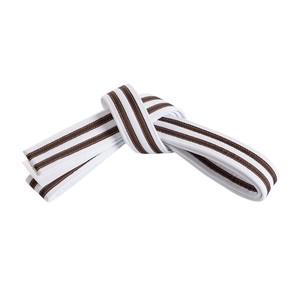 Ceinture d'arts martiaux en gros BJJ Karaté Judo Ceinture de grade de maître Logo personnalisé Usine OEM - Product Image 1