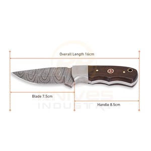 Cuchillo de caza de hoja fija de acero de Damasco, punta caída, mango de madera, filo recto, funda de cuero, para camping al aire libre, bricolaje, OEM - Product Image 2
