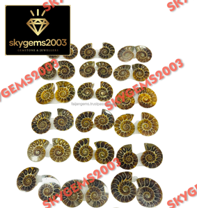 Amonites Fósiles Naturales de Alta Calidad al por Mayor, Lote de Minerales en Rodajas Pequeñas, Amonites Fósiles en Venta, Cabujones para Joyería - Product Image 5
