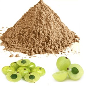 Poudre d'Amla de Qualité Export, Poudre Naturelle de Groseille Indienne pour Cosmétiques, Compléments Alimentaires et Produits à Base de Plantes, Fourniture en Gros OEM - Product Image 1