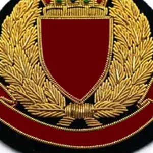 Classic Hand Embroidery Badges High Quality Custom Embroidered Appliques with OEM Service Factory Direct Manufacturing Support - Product Image 2
