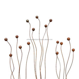 Estacas de hierro de gran tamaño para jardín, accesorios decorativos para soporte de plantas en exteriores, para paisajismo de casas de campo - Product Image 3