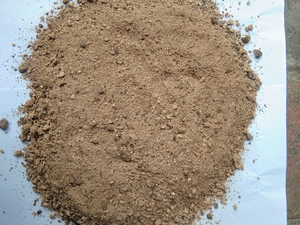 Harina de Nuez de Palma Orgánica 2026 Rica en Fibra y Proteínas |   Ideal para Alimentación Animal |   Cantidades al por mayor listas para exportación y calidad garantizada - Product Image 5