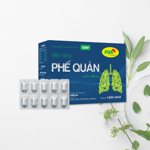 แคปซูลสมุนไพรบำรุงหลอดลมสำหรับผู้ใหญ่คุณภาพสูง ช่วยบำรุงปอด เสริมสร้างภูมิคุ้มกัน บรรเทาอาการไอ ขับเสมหะ บรรเทาอาการเจ็บคอ - Product Image 5