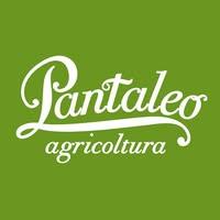 Pantaleo Agricoltura s.r.l. logo