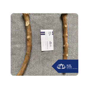 Jouet à mâcher en bois pour chien ENJOYING TOY, forme de bois de cerf naturel, durable, pour l'extérieur, style classique, utilisation manuelle - Product Image 1