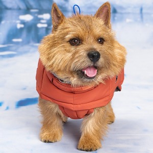 Veste pour chien [MUNIKUND] Thermal Up Padding Air 2, rembourrée en duvet végétalien, imperméable, pour l'hiver et les activités de plein air. - Product Image 2