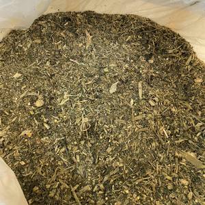 Productos de alimentación animal a base de ensilaje de maíz, granos de paja de maíz fermentados para alimentación de caballos/vacas/cabras y ovejas, ensilaje de maíz en venta - Product Image 4