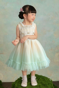 Robe de demoiselle d'honneur en maille crème avec appliques en dentelle, sans manches, en tulle, robe de soirée pour fille, robe Koko San pour fille No022 - Product Image 2