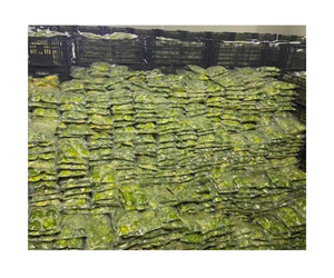 Alta calidad IQF aguacate congelado orgánico cremoso dados mitades puré aguacate congelado a granel para venta al por menor y servicio de alimentos precio barato 2025 - Product Image 6