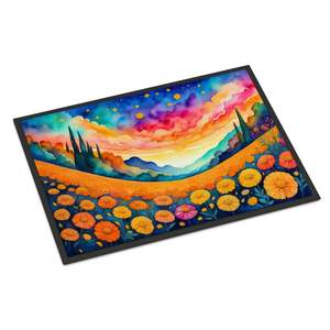 Soucis de couleur Tapis de porte à poils bas lavable antidérapant 24H X 36W Tapis d'entrée extérieur intérieur pour porte d'entrée - Product Image 1