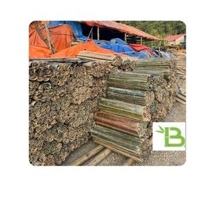 Bambou Trung Son Gem Le : Brindilles de bambou modernes de 32 pouces pour la fabrication de cerfs-volants et la réalisation de barrières anti-mauvaises herbes/usage en jardinage au Pakistan et au Vietnam - Product Image 1