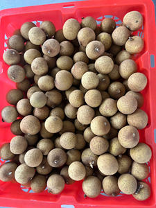 Longan Fresco de Alta Calidad Cultivado en Vietnam, Sabor Dulce, Cuidadosamente Seleccionado para Exportación y Mercados Internacionales de Alimentos - Product Image 6