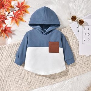 Fournisseur en gros : Ensemble tendance style urbain – Short taille élastique et haut à manches courtes, confortable et léger - Product Image 1
