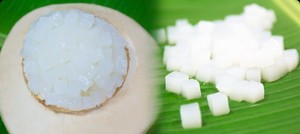 เยลลี่มะพร้าวสดพรีเมียม - แบบดิบและแบบในน้ำเชื่อม - นาตาเดโคคุณภาพสูงสำหรับชานมไข่มุกและของหวาน - ราคาขายส่ง // คุณทอม - Product Image 5