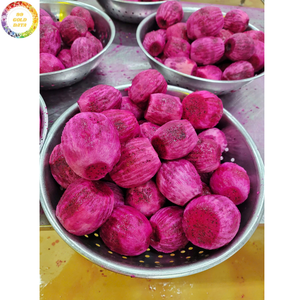 Fruits du dragon surgelés de qualité commerciale IQF, tranches, cubes, demi-coupes, emballés sous vide, fruits tropicaux en vrac, vente en gros, export - Product Image 6