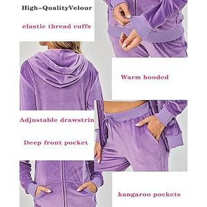 Conjunto de 2 piezas de entrenamiento femenino con logotipo personalizado Conjunto de dos piezas de gran tamaño personalizado Chándales de terciopelo para mujer Chándales con cremallera - Product Image 4