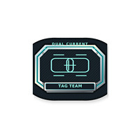 Ceinture de championnat personnalisée double courant pour Tag Team, Wrestling, Boxe, MMA, avec plaques métalliques, cuir PU, logo personnalisé, OEM, souvenir