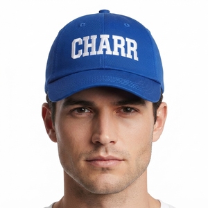 Gorra de Béisbol Deportiva de Mezclilla para Invierno, con Logotipo Personalizado, Impermeable, para Hombre y Mujer, Ajustable, con Protección para el Cuello, de Color Sólido - Product Image 2