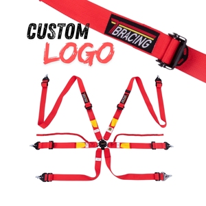 Ceinture de sécurité de course haut de gamme TBRACING homologuée FIA 8853 2016 OEM ODM Marque privée Vente en gros Matériel en acier léger - Product Image 2