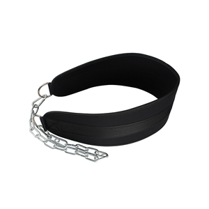 Cinturón de levantamiento de pesas de alta resistencia con cadena de acero, cinturón de gimnasio para dominadas, entrenamiento de fuerza, cinturón de fitness - Product Image 1